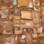 Screen Sammlung ETHZ